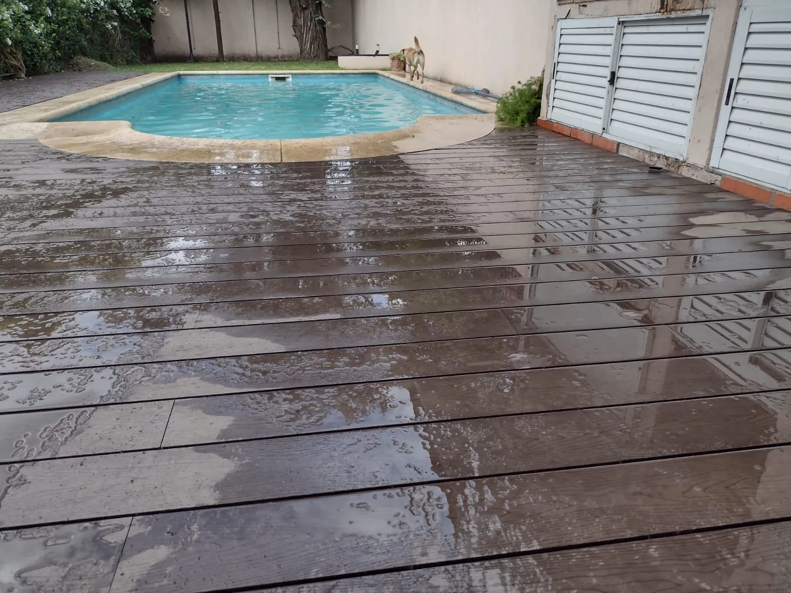Deck WPC - Vista 22